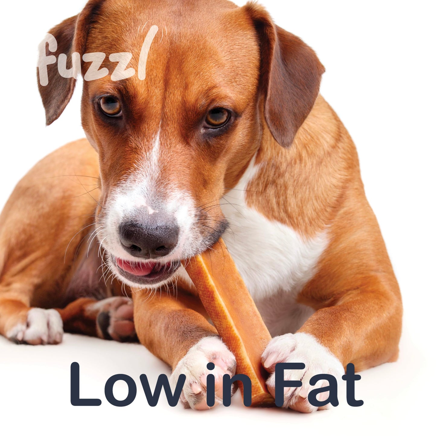 Fuzzl Yak Chews Mango, Coconut, Strawberry, Blueberry Medium Box 4 - Himalayan Yak Chews for Dogs - Natural Yak Cheese Himalayan Dog Chews Dog Chew