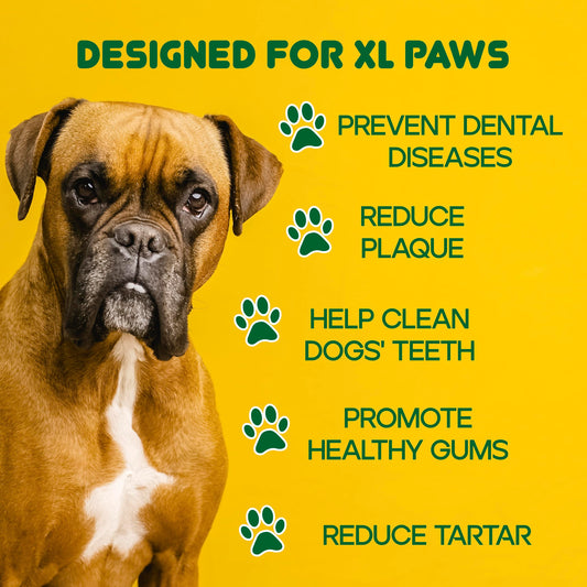 Lucky Premium Treats Chicken Wrapped Dog Treats – Bull Stick - USA Made Raw Hide for Extra Large Dogs – Long Lasting, Preservative Free Dog Treats – 6 Chews