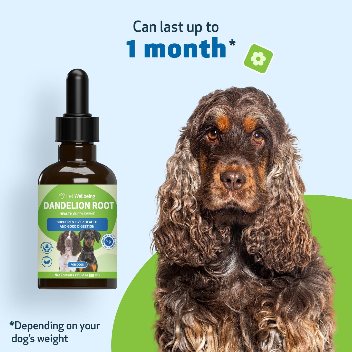 Pet Wellbeing Dandelion Root for Dogs - Liver & Heart Health, Digestive Function, Blood Sugar Support, Certified Organic - Veterinarian-Formulated Herbal Supplement 2 oz (59 ml)
