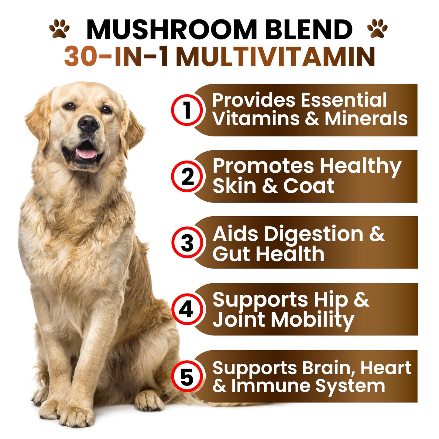 Mushroom Supplement for Dogs - 170 Chews - Mushrooms for Dogs - Turkey Tail, Reishi, Lion’s Mane, Glucosamine Multivitamin - Immune Booster, Gut, Hip & Joint Health Support Vitamins, Energy & Skin