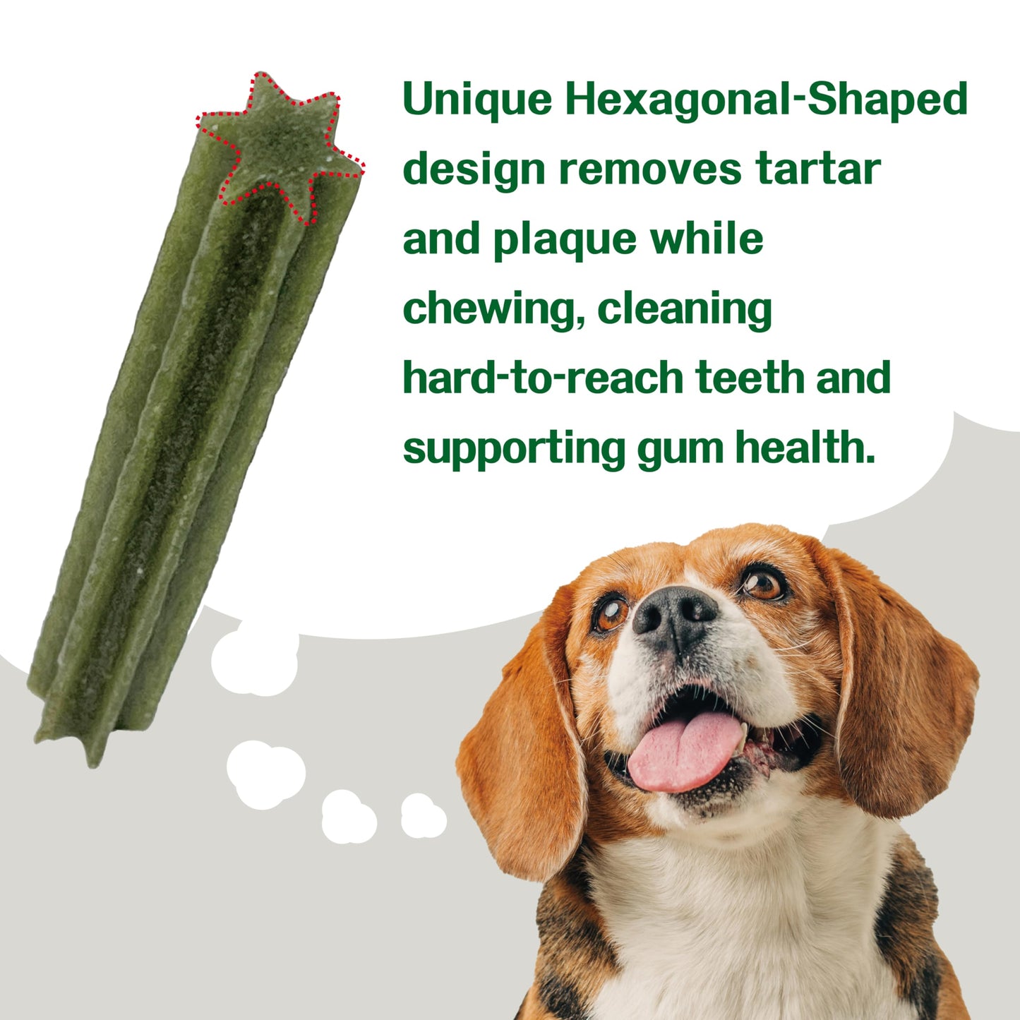 Afreschi Turkey Dental Sticks for Dogs, 2.2 lb – All Natural Dog Chews, USA-Sourced Trukey, Hypoallergenic, Long-Lasting Chew for Puppies and Adult Dogs, Grain-Free, Signature Series