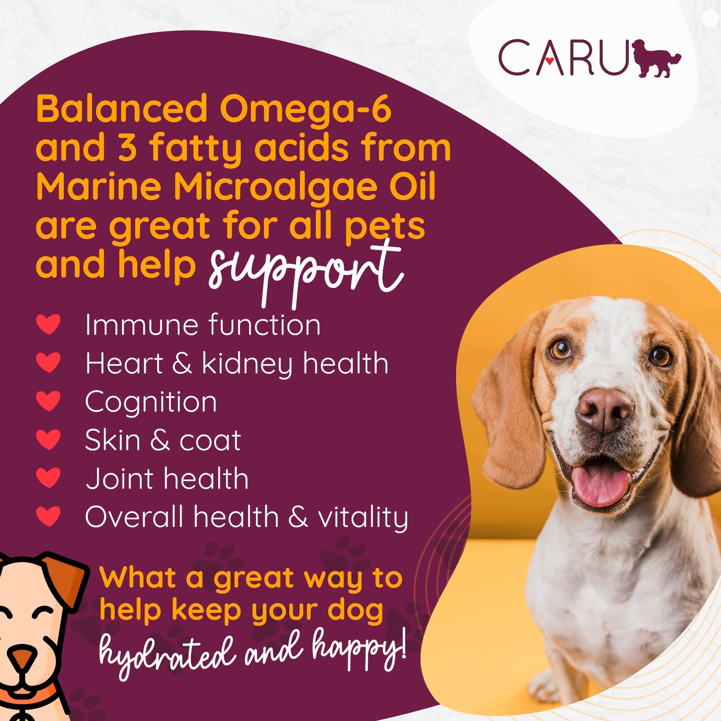 Caru Daily Dish Chicken Stew, Natural Adult Wet Dog Food with Real Chunks of Chicken, with Added Vitamins & Minerals, Non-GMO Ingredients (12.5 oz) - 12 Pack