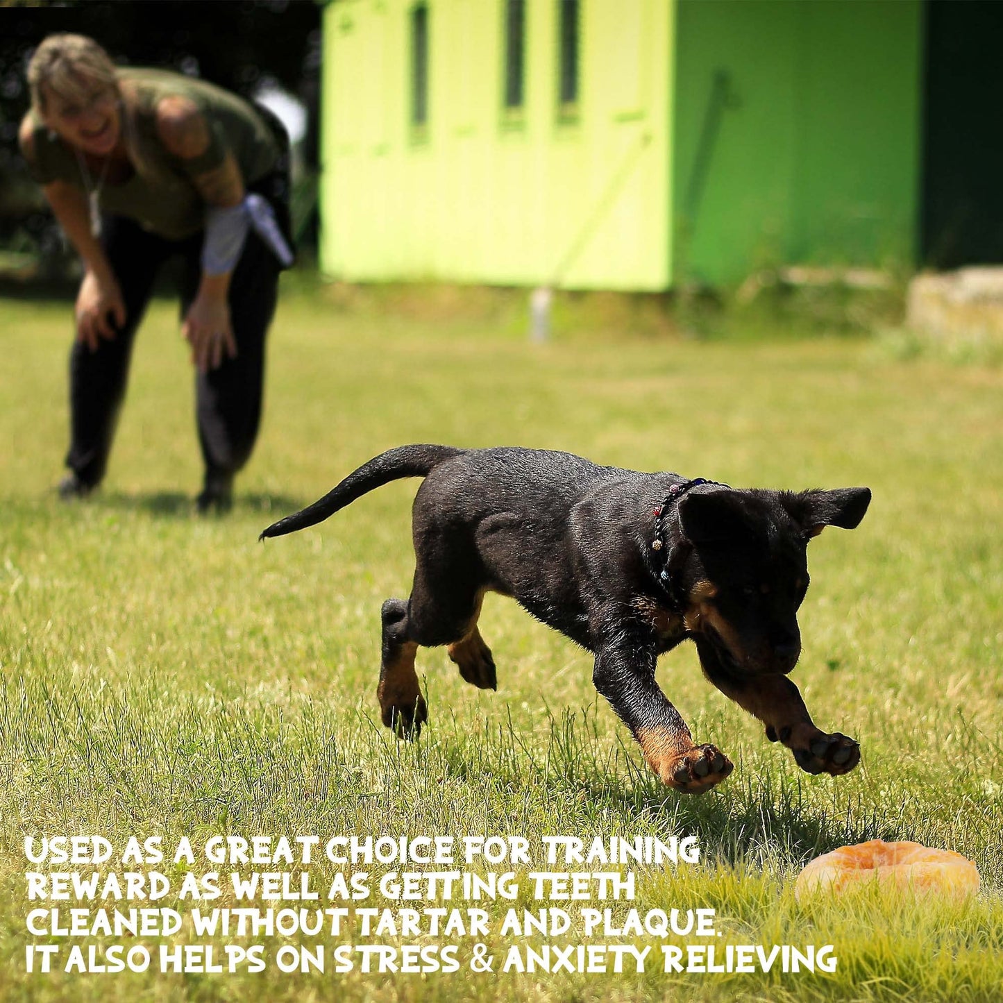 ASMPET Dog Treats Chews, Chicken Wrapped Rawhide Donuts Dental Care Chews for Small Medium Large Breed Aggressive Chewers (Pack of 4)