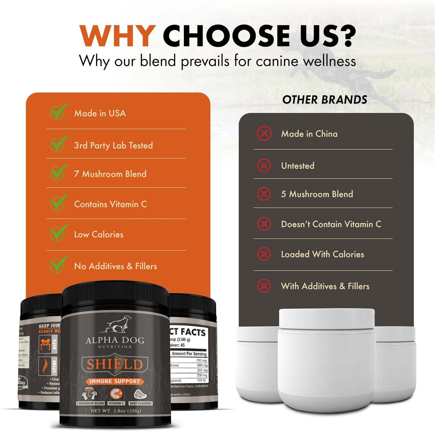 Shield Allergy Immune Support Supplement for Dogs by Alpha Dog Nutrition - 7 Nutritional Mushroom Powder Complex + Vitamin C to Boost Immunity - Up to 60 Servings for Small Breed Dogs, 54g