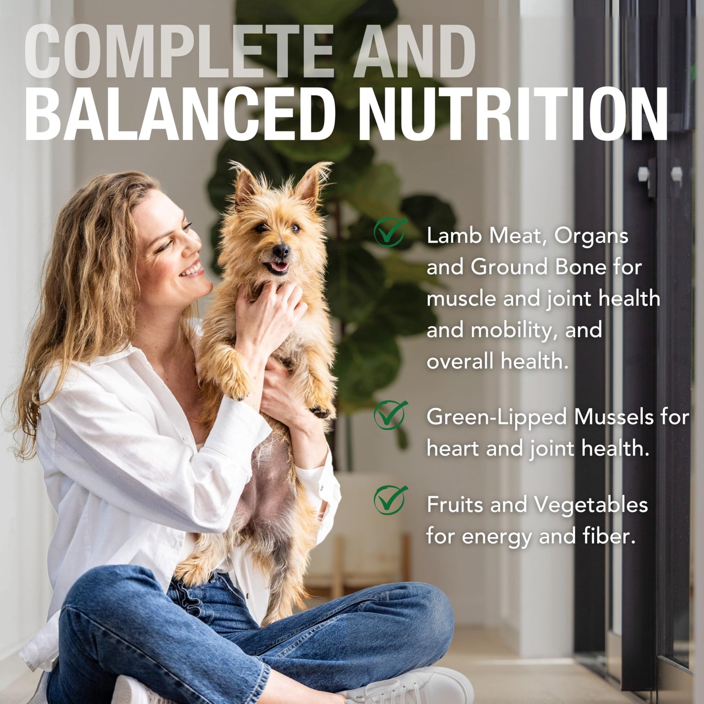 K9 Natural Wet Dog Food Pate, Lamb Feast, 13 Oz Cans (Pack of 12), Grain Free, Made in New Zealand with Grass-Fed, Free-Range Lamb, Single Source, Limited Ingredient