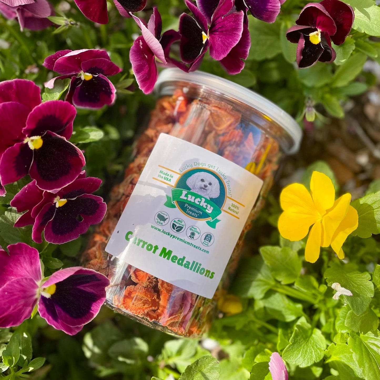 Lucky Premium Carrot Medallion Treats – Carrot Dog Treats and All Natural Dog Treats with Sliced, Dehydrated Carrots (12 oz)