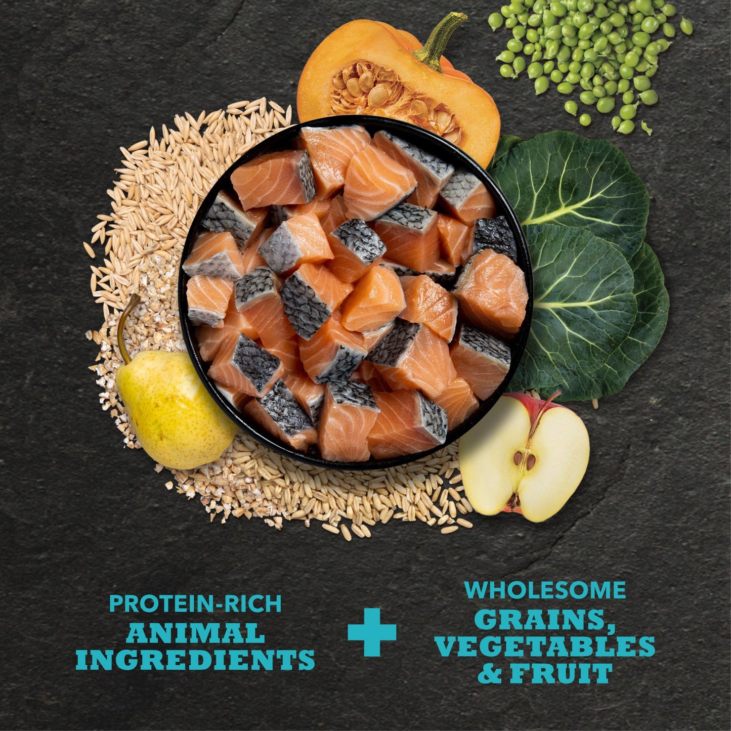 ACANA Classics Dry Dog Food Salmon and Barley Recipe 4lb Bag