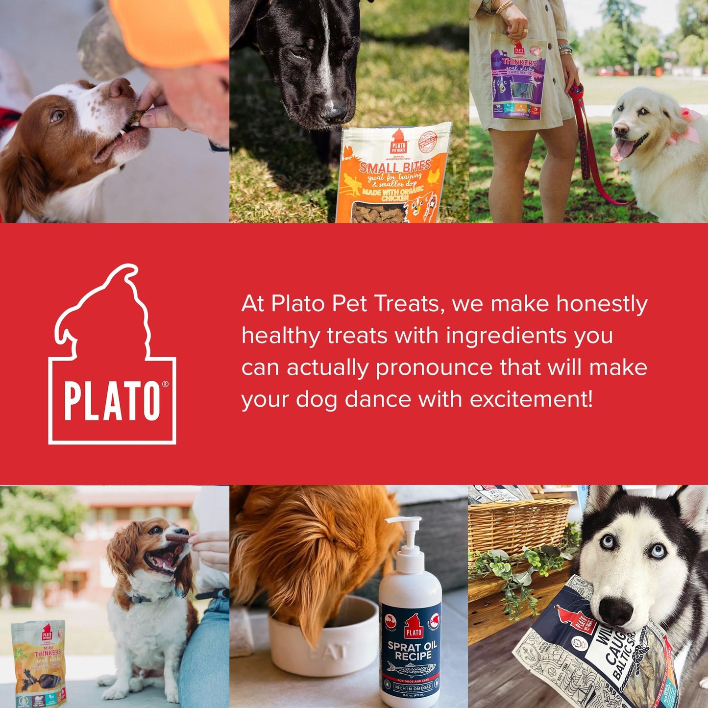 Plato Pet Treats Thinkers - Meat Sticks for Dogs - Limited Ingredient Treats with EPA and DHA to Support Skin, Coat, and Brain - Air-Dried - Lamb 18oz