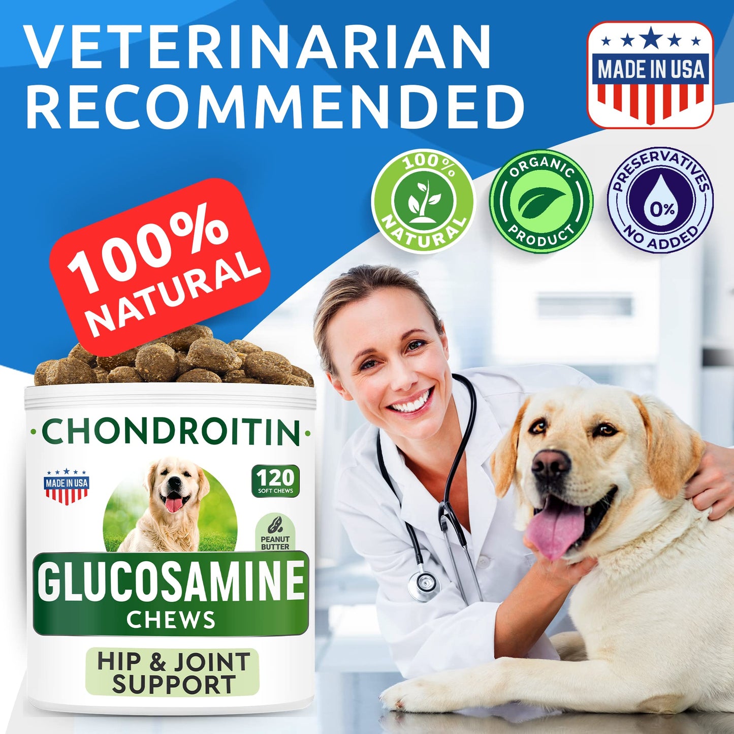 Glucosamine Chondroitin Dog Hip & Joint Supplement - Joint Pain Relief - Hip & Joint Chews for Dogs - Joint Support Large Breed - Senior Doggie Vitamin Pills Joint Health - (240 Treats - Peanut Butte)