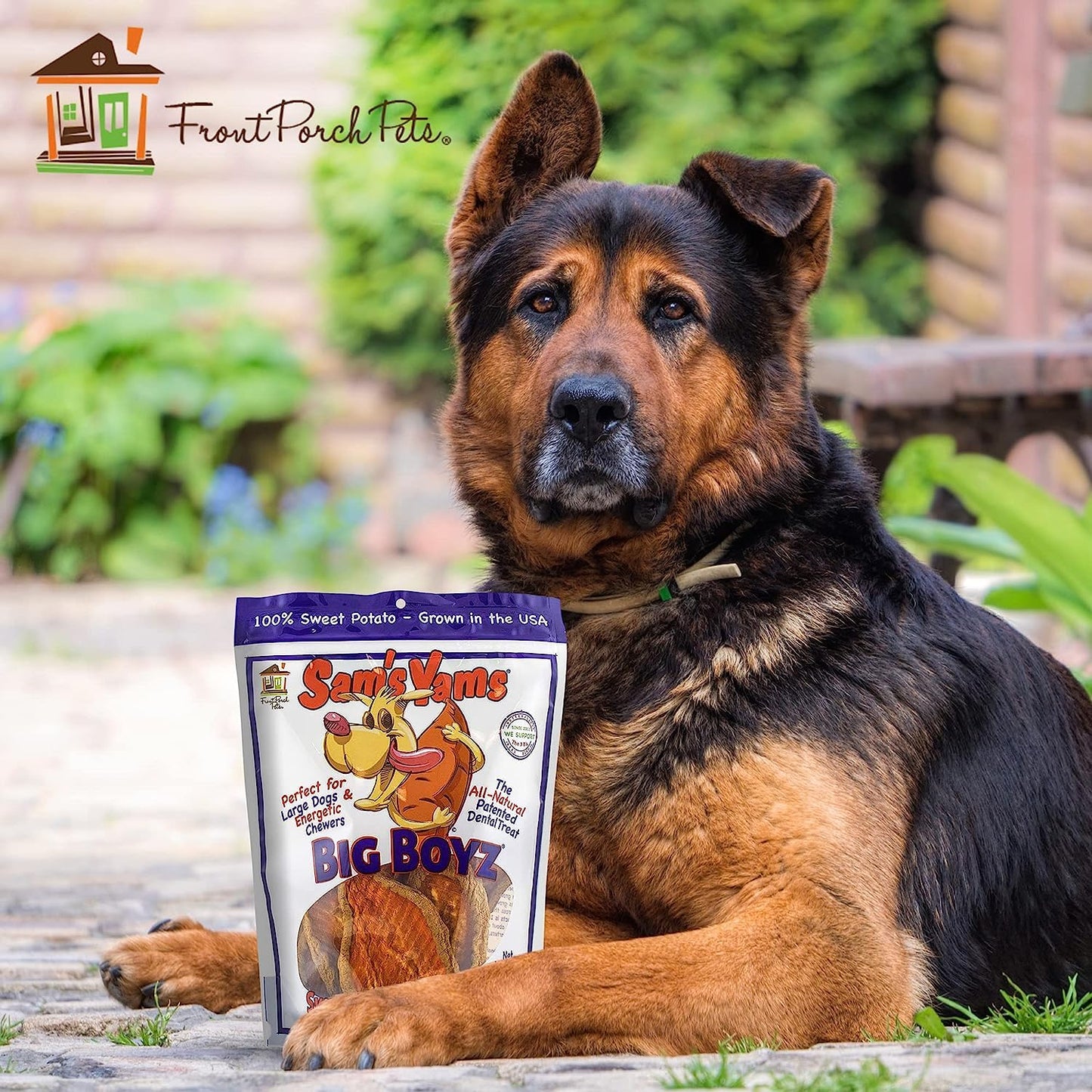 Sams Yams Sweet Potato Dog Treats, Healthy Dog Treats for Large Dogs - Sweet Potato Dog Treats Made in USA, High Fiber, Vegan Dental Chews - Big Boyz, Sweet Potato Dog Chewz, 15oz (Pack of 3)