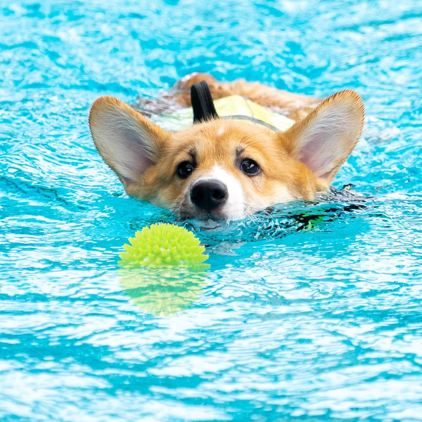 2.5" Squeaky Dog Balls for Small Medium Dogs, 6 Pack Small Dog Chew Toys with Spike, Puppy Toys for Teeth Cleaning and Training (Green 6 Pack)