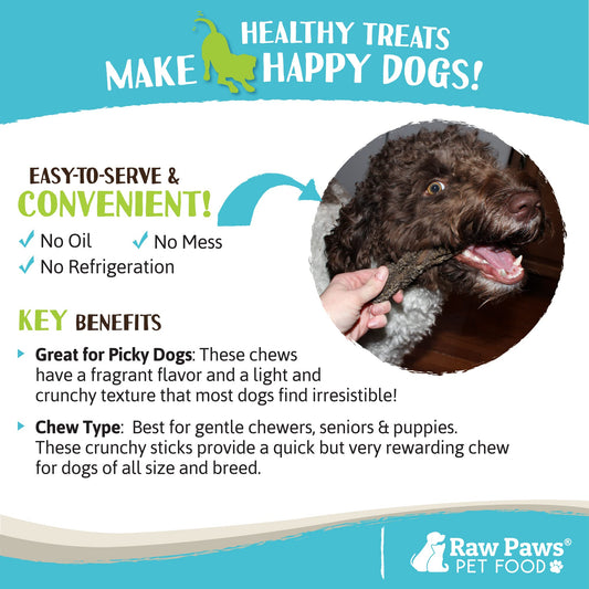 Raw Paws Green Beef Tripe Sticks for Dogs - 6-Inch (5-Count) - Packed in USA - Dried Tripe Dog Treats from Free-Range, Cows No Added Antibiotics or Hormones - Dehydrated Beef Green Tripe for Dogs