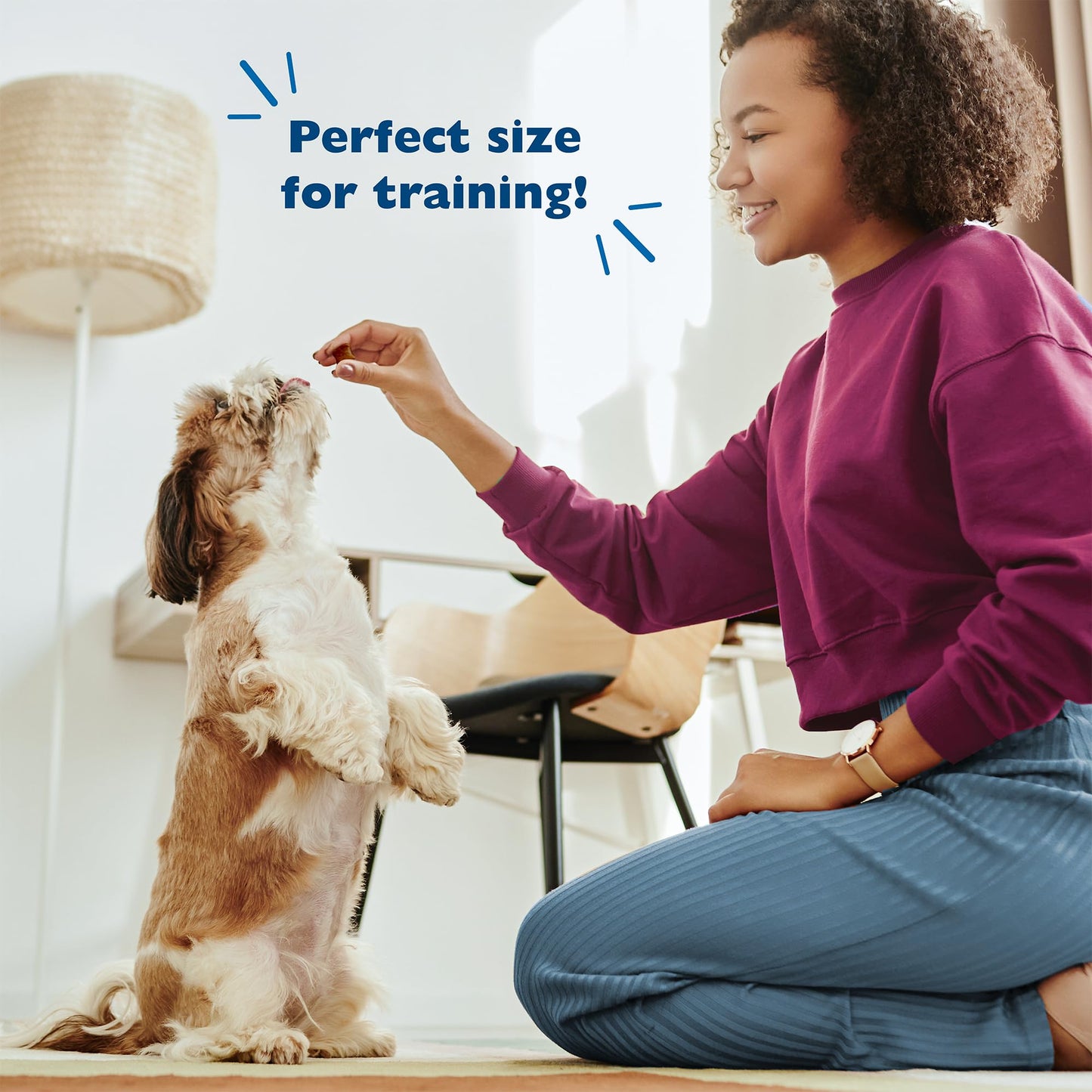 Bil-Jac Original Recipe Soft Training Treats for Dogs, Made with Chicken Liver, Resealable Double Zipper Pouch 10oz (2-Pack)