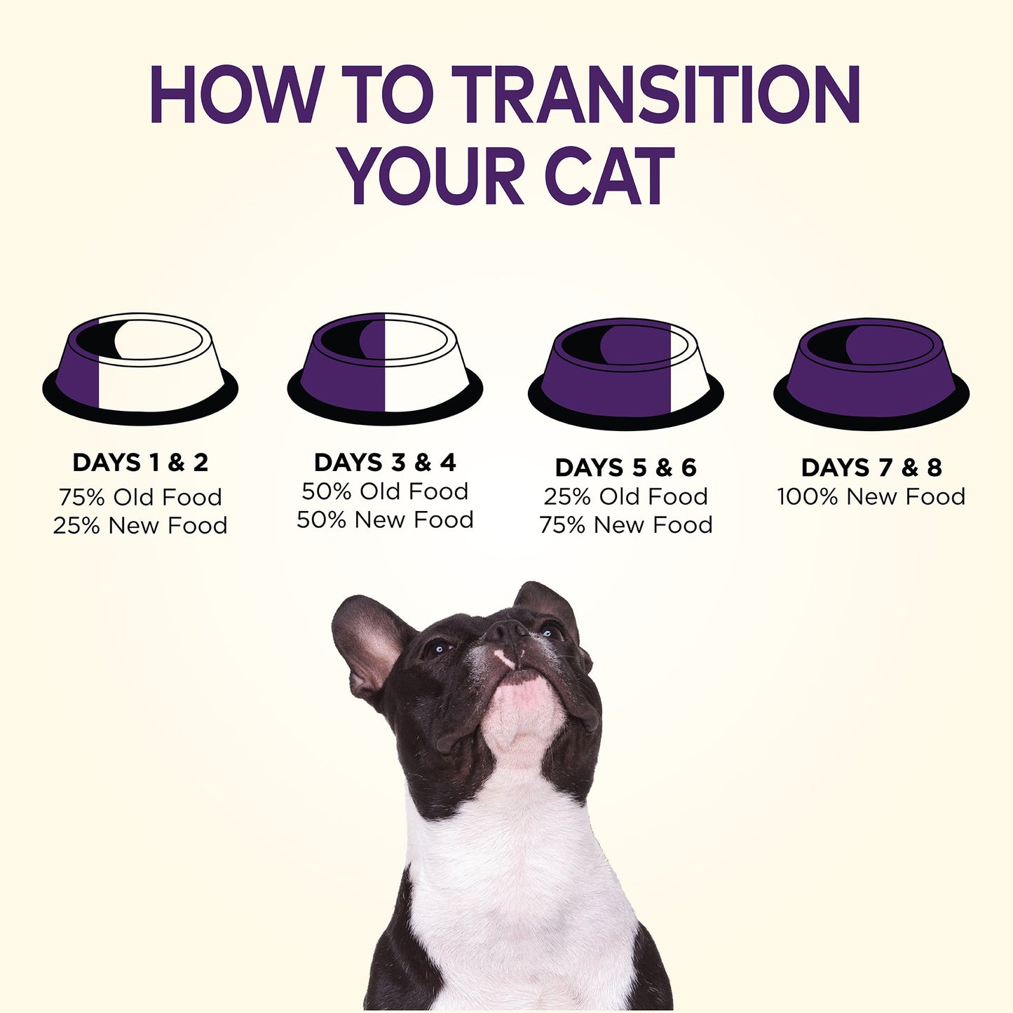 Wellness Natural Pet Food Complete Health Natural Grain Free Dry Dog Food, Chicken, 24-Pound Bag