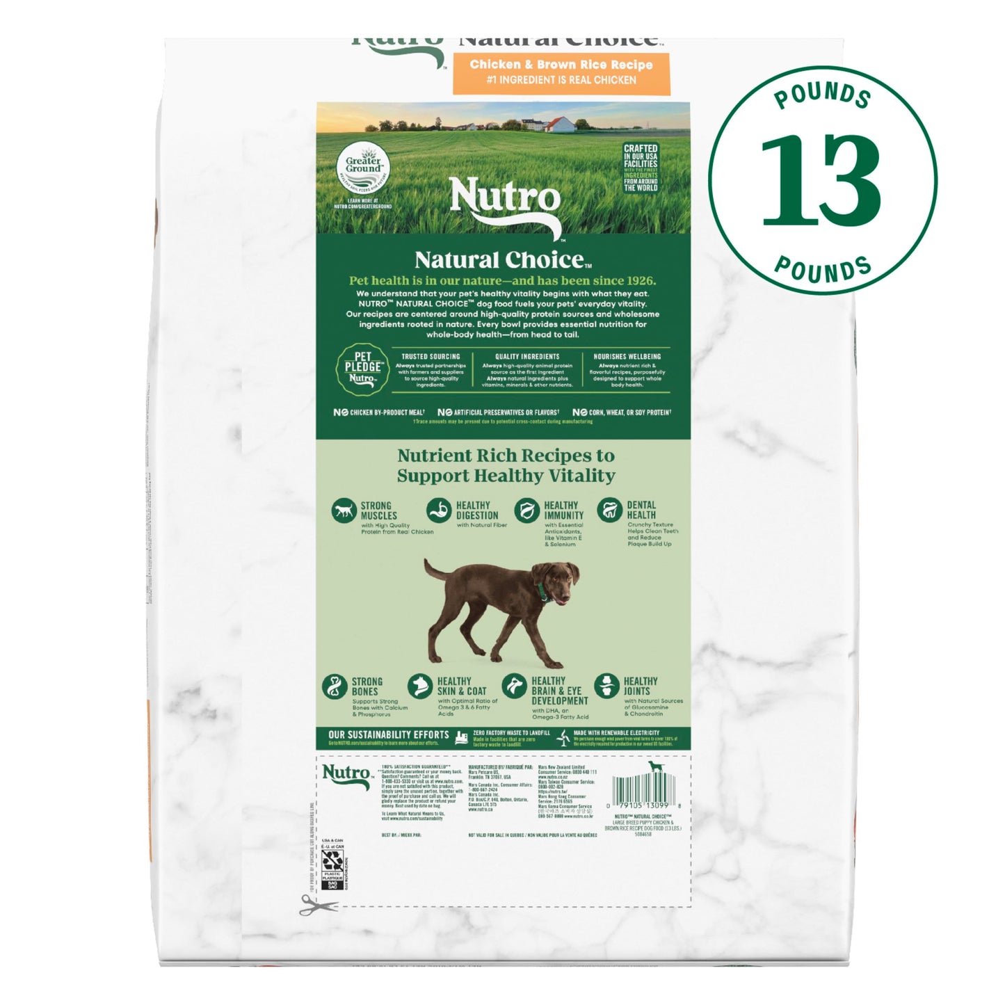 Nutro Natural Choice Large Breed Puppy Dry Dog Food, Chicken and Brown Rice Recipe, 13 lbs.