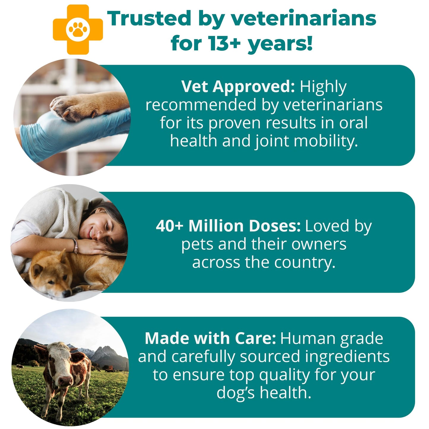 1TDC WorksSoWell Dual Action Joint Supplement for Dogs & Cats - Hip and Joint Supplement for Large Breed & Small Breed - Also Great for Oral Health - Muscle & Stamina Recovery & Arthritis - 120ct