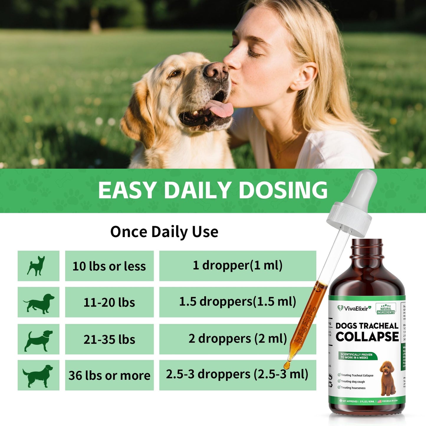 Dog Cough Treatment Liquid – Tracheal Collapse Support for Dogs – Herbal Drops with Slippery Elm, Mullein & Olive Leaf – Helps Soothe Throat, Calm Coughing & Support Breathing – 120g