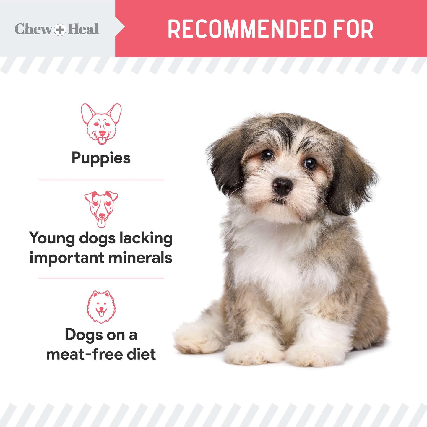 Dog Salmon Jerky for Puppies - 12 oz of Wild Caught Alaskan Salmon Jerky for Puppy Development with Chickpeas, Carrots, Sweet Potato, and Fruit - Made in The USA