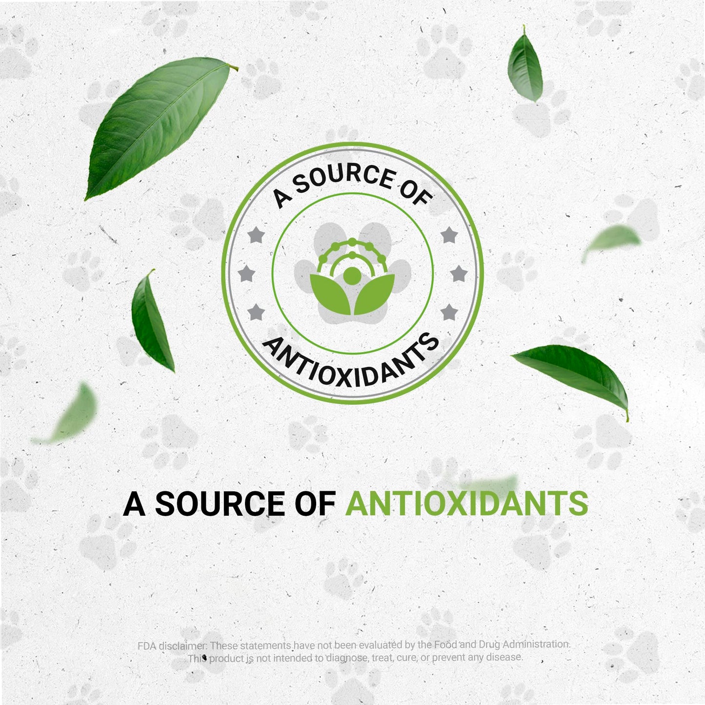 Wolf's Immune Boost | Natural Herbal Dietary Supplement for Dogs | Immune Support in Dogs | Alcohol-Free Extract, Elder Flowers, Calendula, Dandelion Root, Lemon Balm, Fennel 2 oz