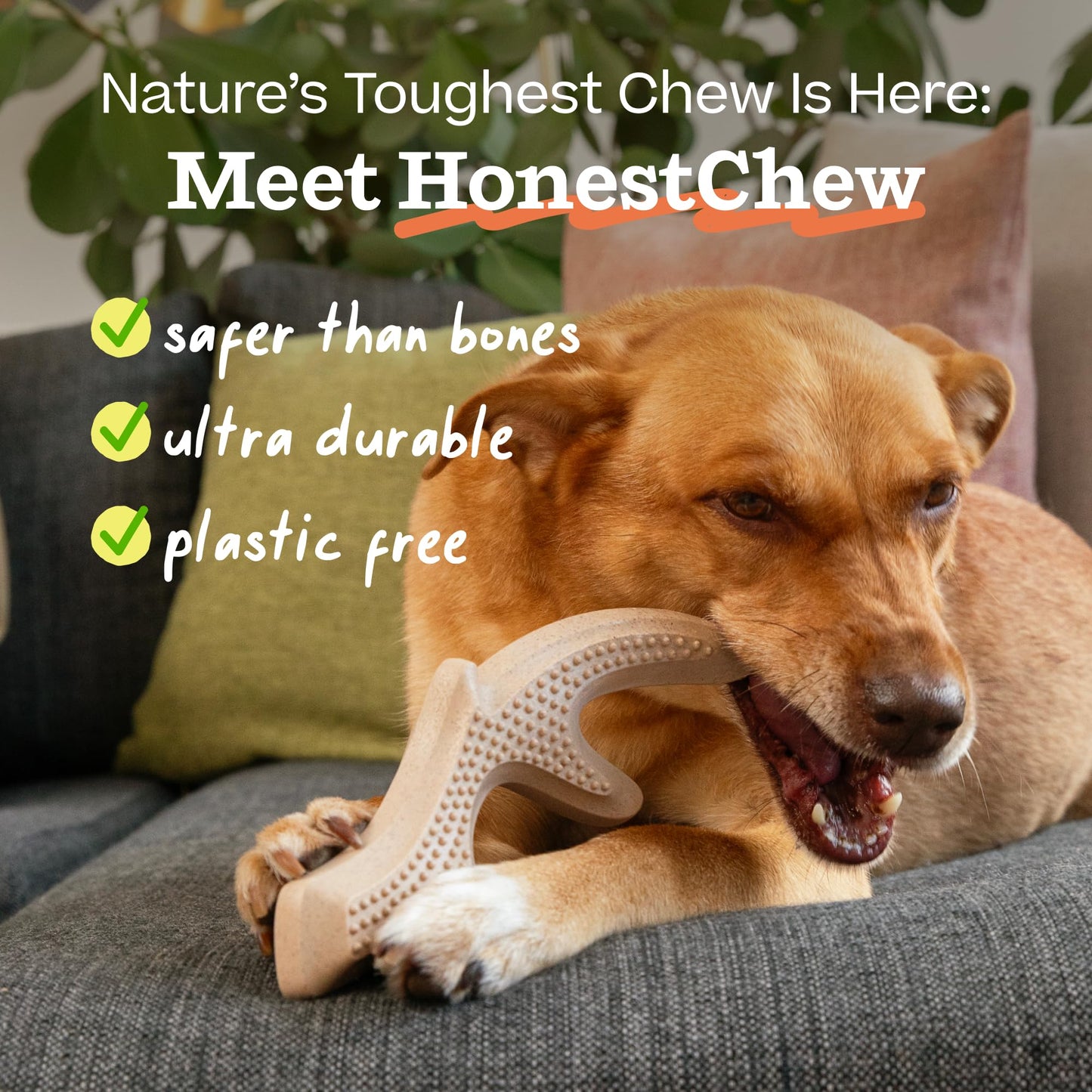 WOOF HonestChew Dog Toy Antler - Durable Dog Chews - Made with Natural, Plant-Based Ingredients - Splinter-Resistant - Safer Than Dog Bones - Small