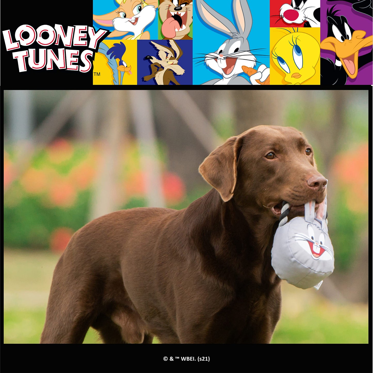 LOONEY TUNES for Pets Bugs Bunny Rope Head Stuffed Dog Toy for All Dogs | Grey and White Bugs Bunny Plush Fabric Toy for Dogs | Cute Rope Canvas Dog Toy (Pack of 2)