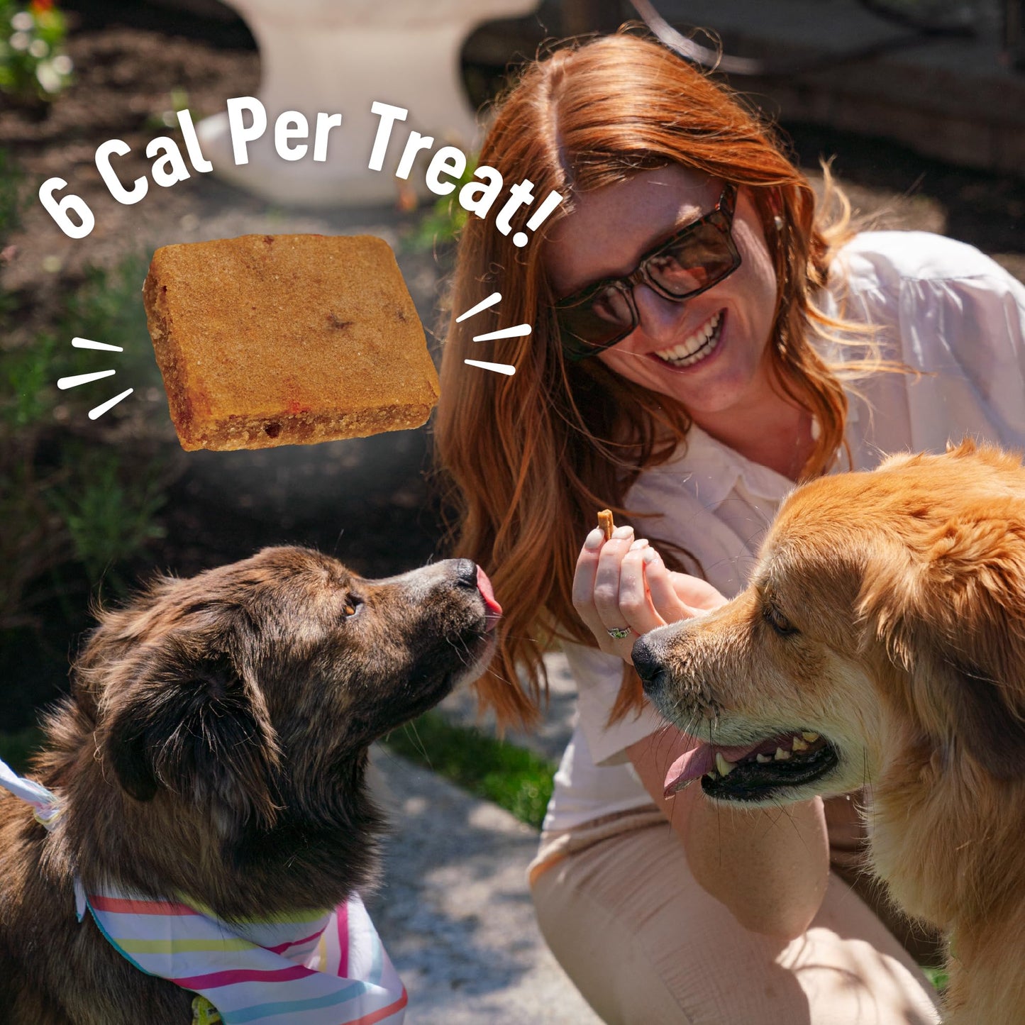 Wellness Puppy Treats, Natural, Training Treat, Grain Free, Soft Lamb & Salmon (3 Ounce Bag)