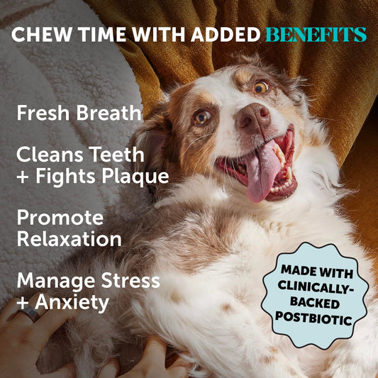 Pet Honesty Calming Fresh Sticks for Dogs – Dental Chews to Support Relaxed Behavior, Oral Health, and Fresh Breath – (30 ct)