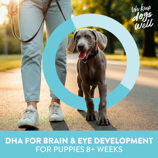 Dogswell Lifestage Puppy Treats Mini Soft Strips Lamb, 4 oz Bag