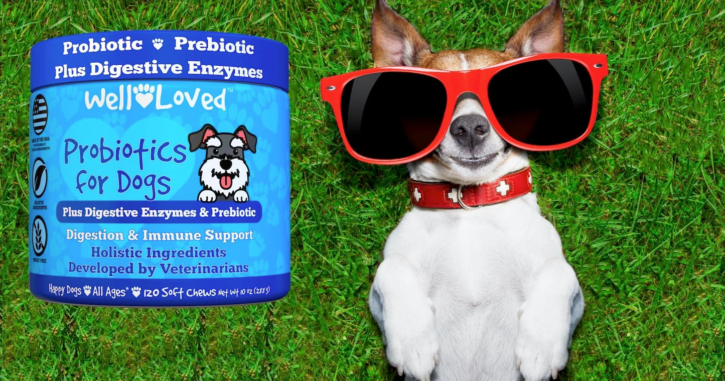 Well Loved Probiotics for Dogs, Dog Probiotics, Made in USA, Vet Developed for Gut Health, Yeast Balance, Itchy Skin, Diarrhea & Gas Relief, Chews with Prebiotic & Digestive Enzymes, Digestive Support