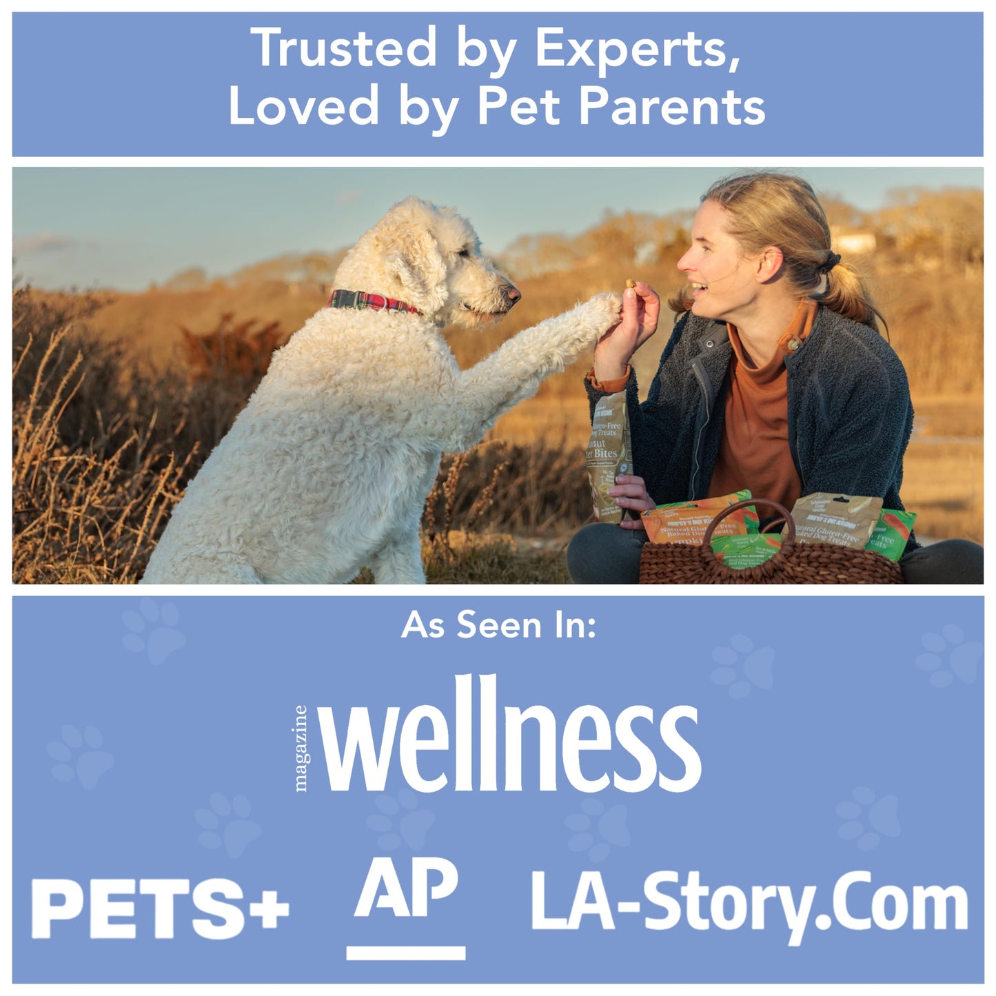 Marcy's Pet Kitchen-Diabetic- All Natural, Crunchy, Peanut Butter Dog Treats - Vet Approved- No Preservatives-Vegan, Gluten Free, Human Grade - Crunchy-Made in The USA, Healthy Peanut Butter Treats