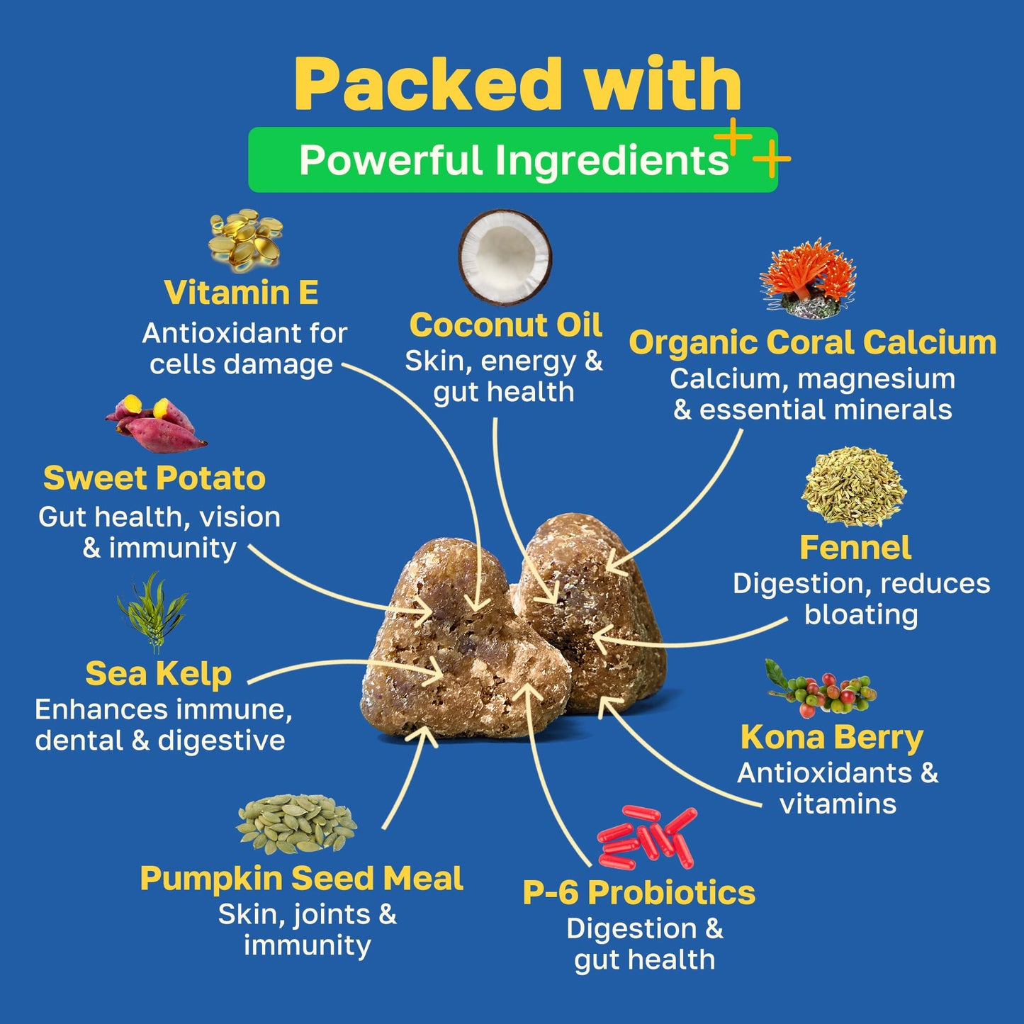 Happy Paws Probiotics for Dogs, Gut Health Support, Chicken Flavor, 100 Count