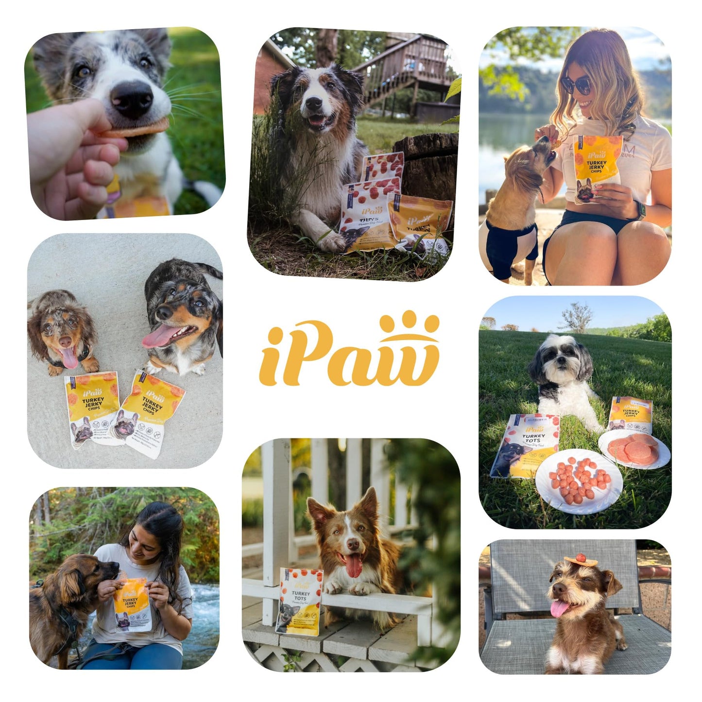 iPaw Dog Treats for Puppy Training, All Natural Human Grade Dog Treat, Hypoallergenic, Easy to Digest (Chicken and Cheese Bites)