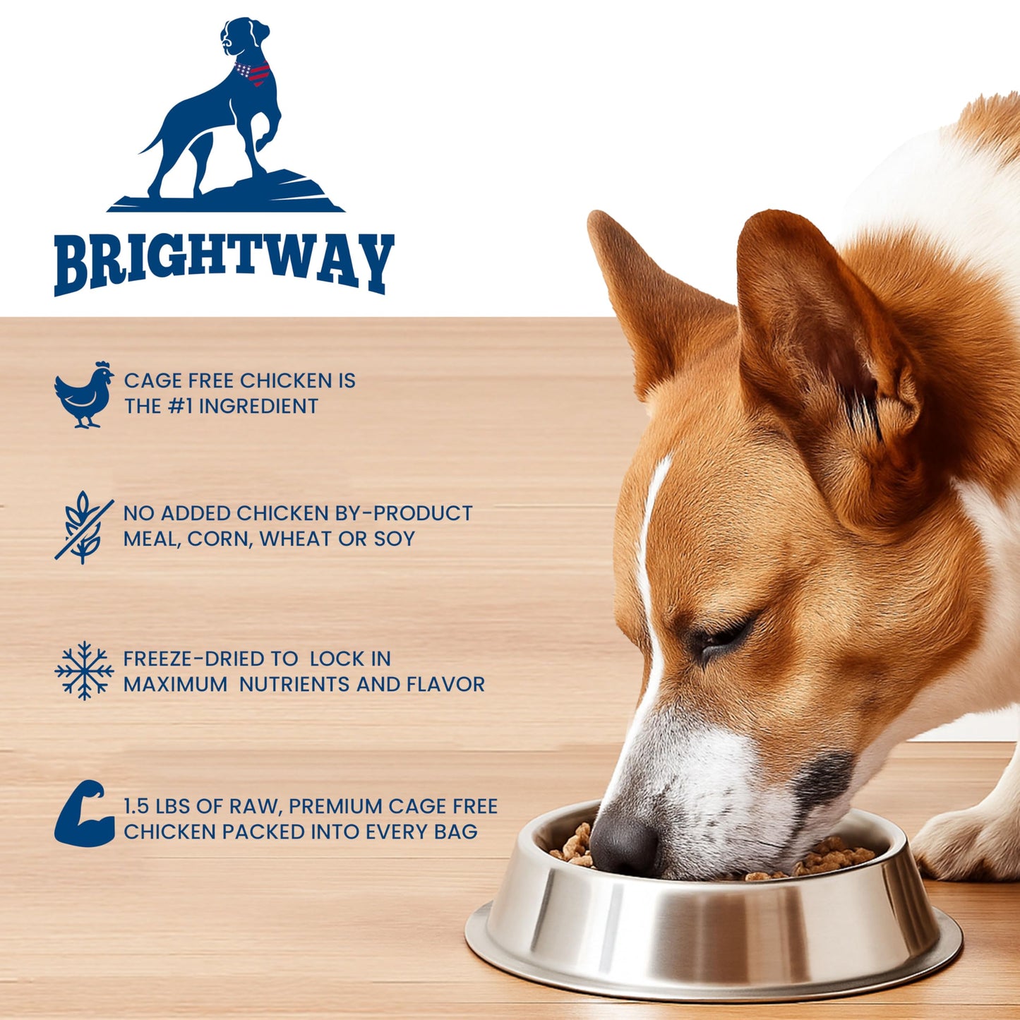 Brightway Pets Primal Protein Bites – Freeze Dried Raw Chicken Dog Treats | High Protein, Cage-Free Chicken & Liver | Made in USA, Grain-Free, All-Natural | Training Treats Meal Topper