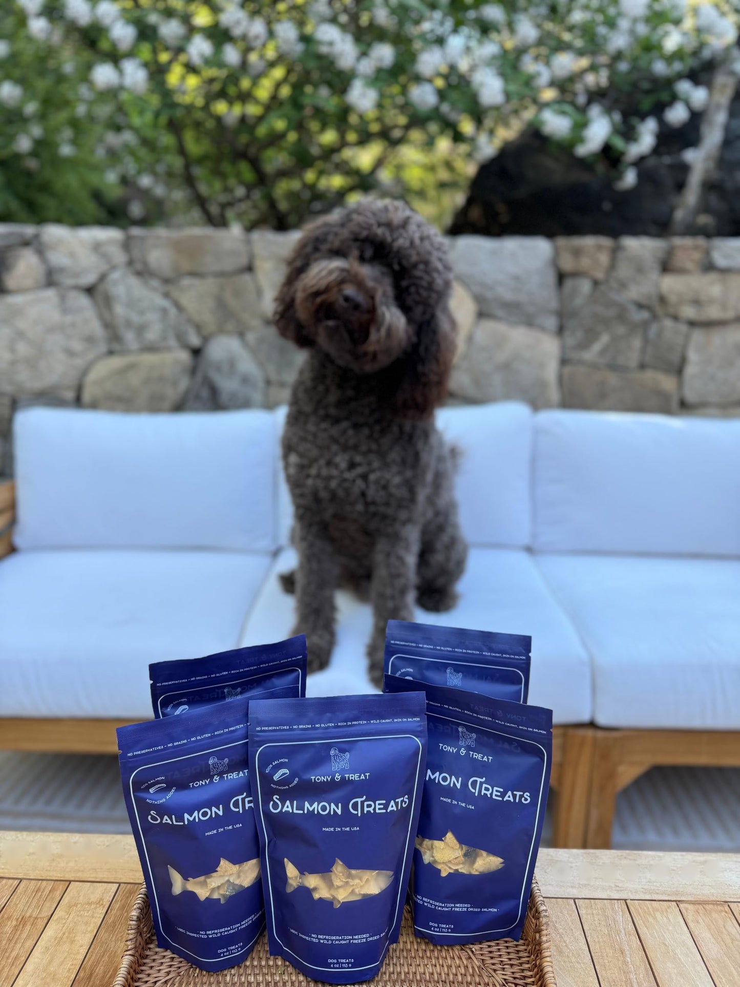 Freeze-Dried Salmon Dog Treats, Single-Ingredient, Wild-Caught Skin On Salmon, High-Protein, Grain & Gluten Free, Healthy Snack for Dogs, Made in USA, Great for Skin & Coat