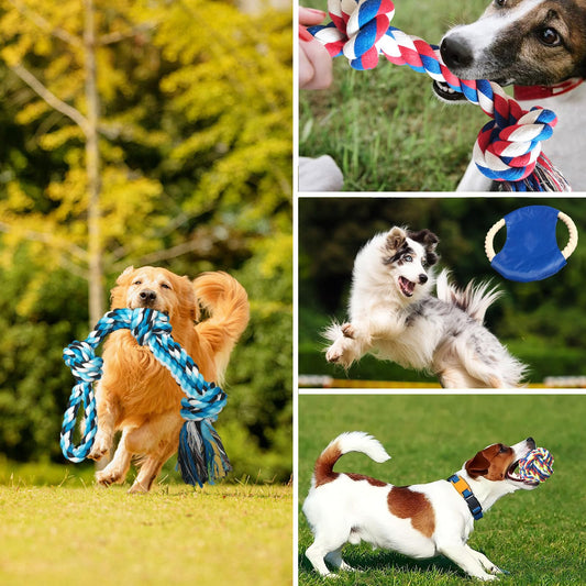 TUAHOO 6 Pack Dog Rope Toys for Small Medium Large Breed, Nearly Indestructible Rope Chew Toys, Flying Disc Fetch Dog Toy Ball, Interactive Tug Toy for Boredom, Puppy Dental Teeth Cleaning