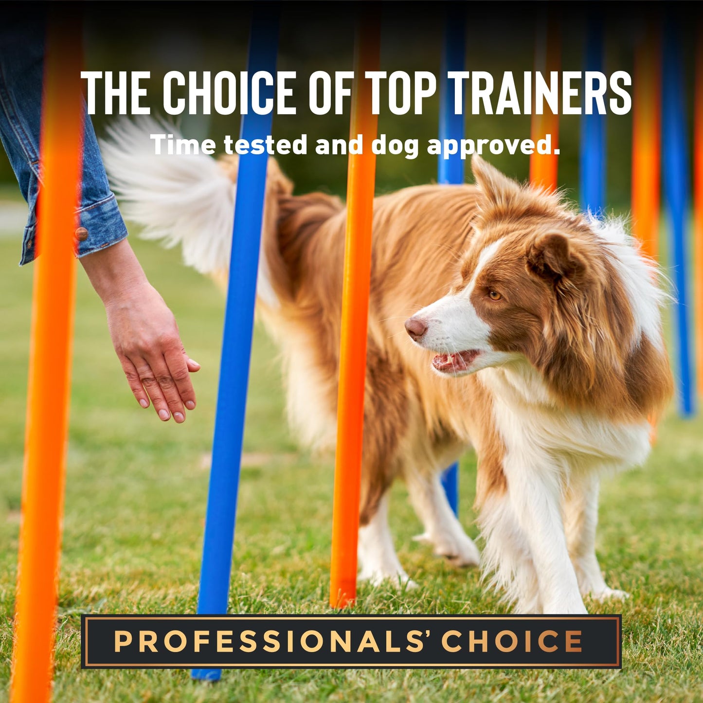 Cloud Star Tricky Trainers Soft & Chewy Dog Training Treats 14 oz. Bag, Salmon Flavor, Low Calorie Behavior Aid with 360 Treats