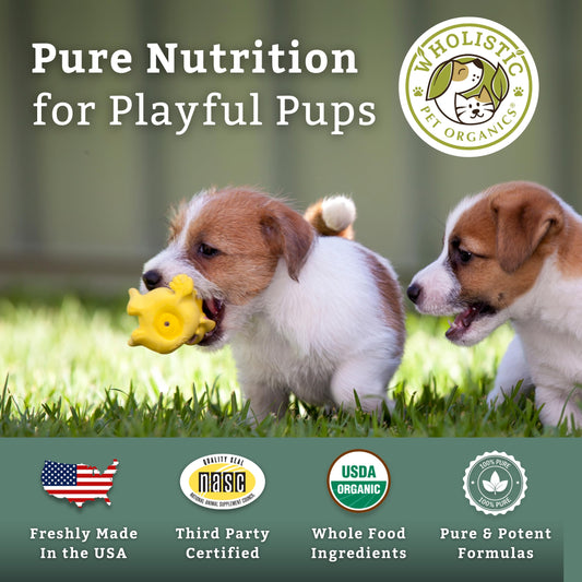 Wholistic Pet Organics Puppy Complete - Dog Multivitamin Powder - 1 Lb - Daily Dog Vitamins & Supplements for Homemade Food - Immune System, Skin, Coat & Overall Health - Small and Large Breed Puppies