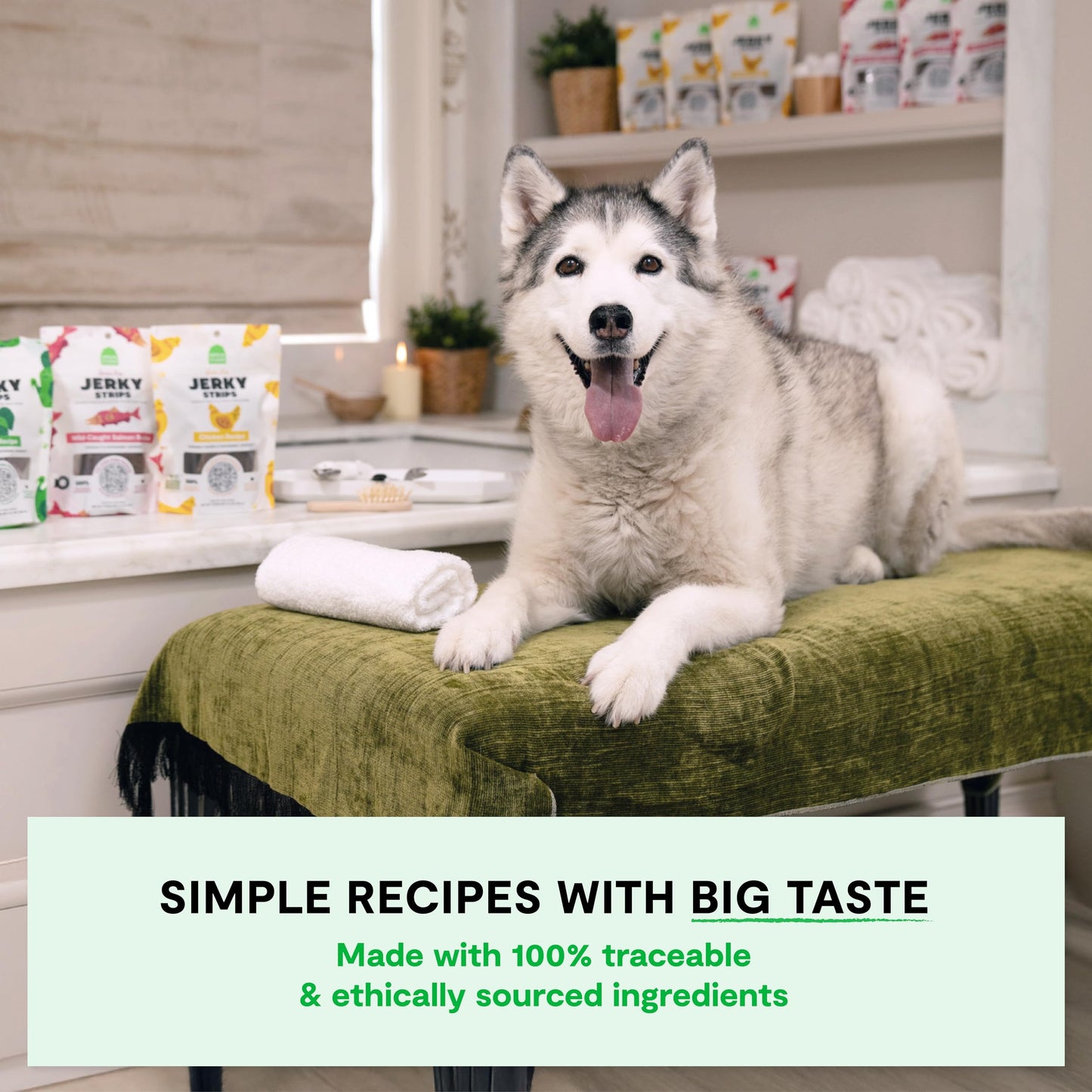 Open Farm, Dog Jerky Treats, Soft & Chewy Oven-Baked Jerky Strips Made with Ethically & Sustainably Sourced Ingredients, Protein Packed Dog Treats, Grain-Free Wild-Caugh Salmon Recipe, 5.6oz Pouch