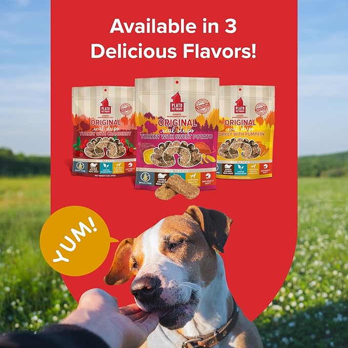 PLATO Original Real Strips Turkey & Sweet Potato Recipe 3oz, Natural