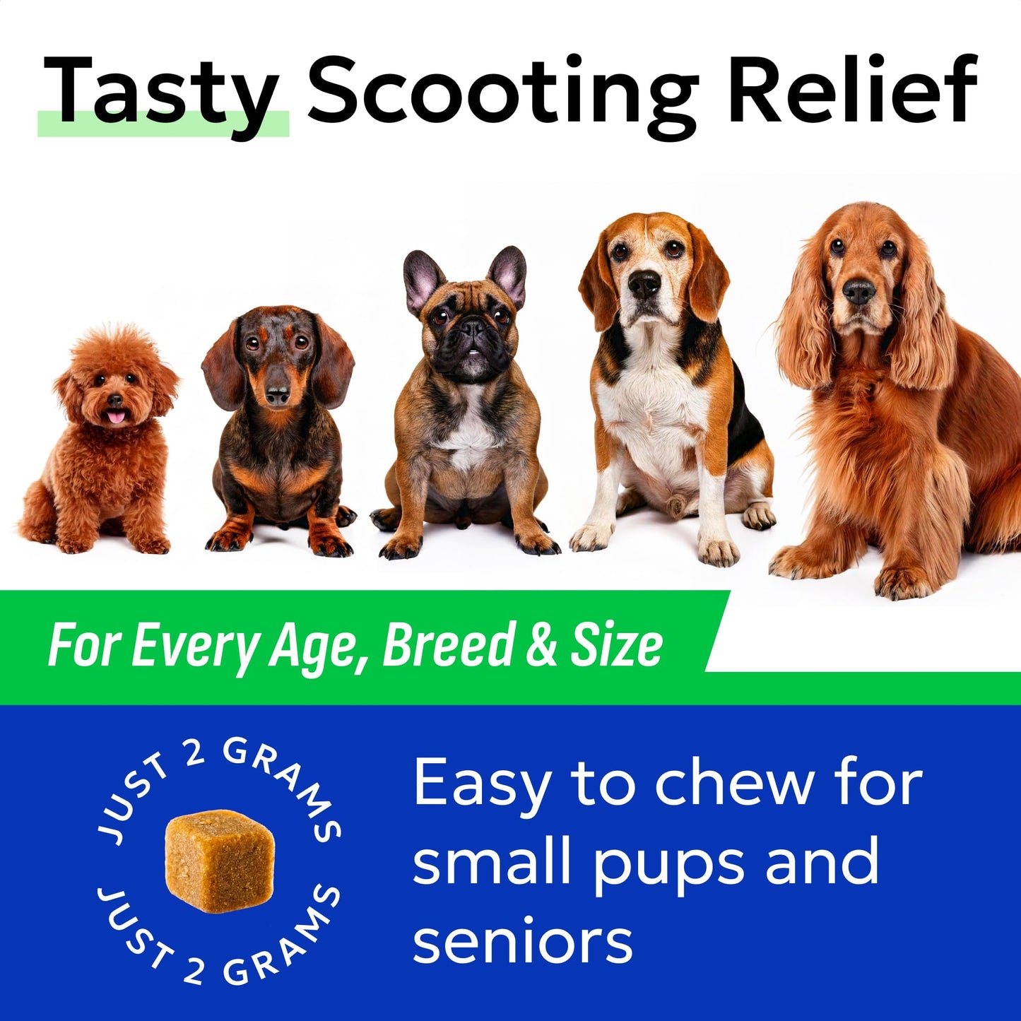 Anal Gland Guard Support + Stool Eating Deterrent with Probiotics - Scoot Treatment - Digestive Enzymes & Breath Aid Support - Stop Dog Poop Eating - Made in USA