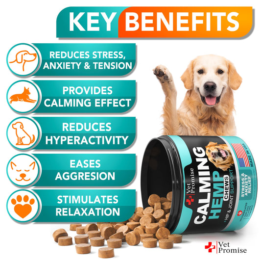 Advanced Calming Chews for Dogs - Hemp Dog Calming Chews - Anxiety Relief with Melatonin - Stress & Separation Anxiety - Sleep Aid + Hip and Joint Supplement Support - Made in USA - 70 Treats