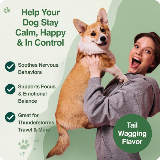 BAZI Calm Dog Chews – Natural Stress Relief for Hyperactive Dogs with Lemon Balm, Taurine & Theanine – Calming Support for Anxiety, Fireworks, Thunderstorms, Travel & Training – 60 Soft Chews
