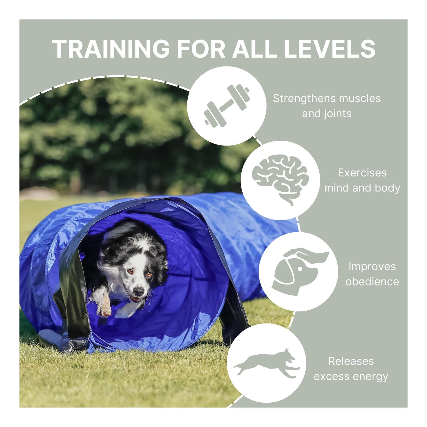 TRIXIE Dog Agility Tunnel– Dog Tunnel for Large Dogs Agility Training, Portable Dog Tunnel 196.9 in Long & 23.6 in Diameter, Dog Agility Equipment for Beginners & Advanced