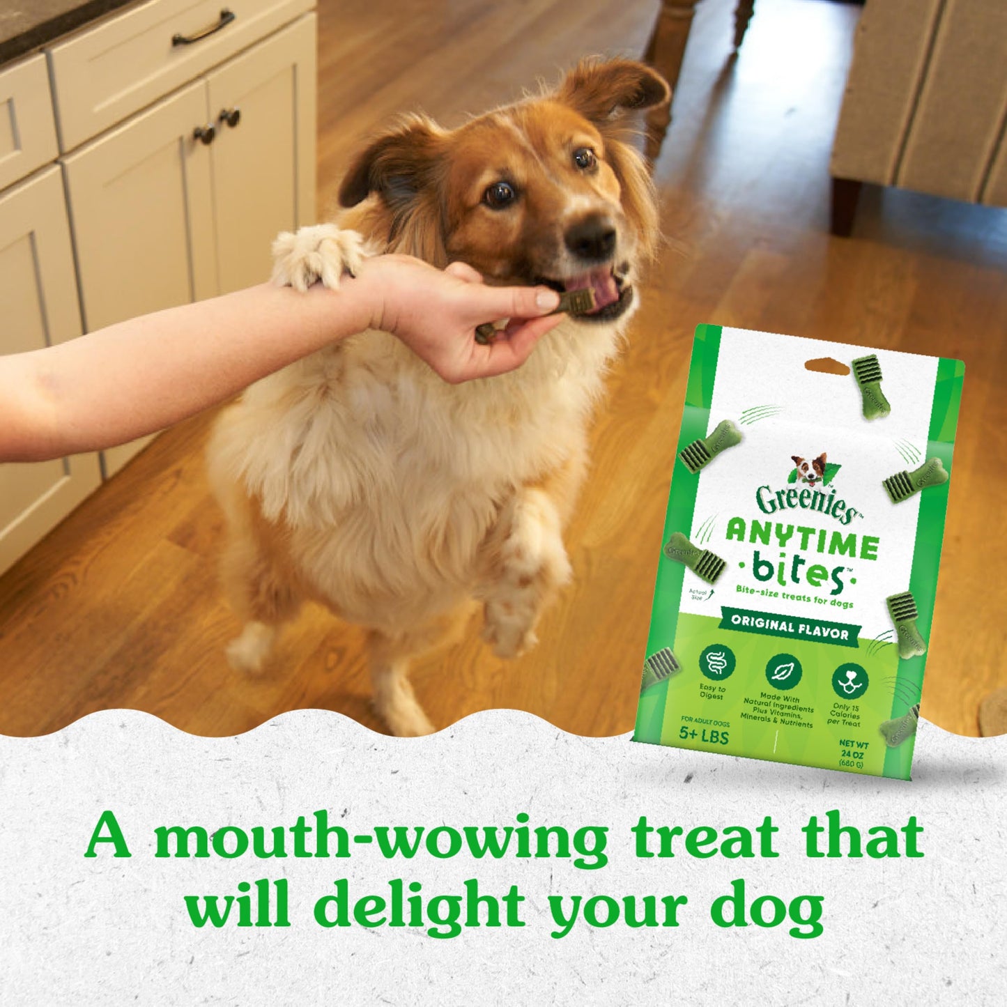 Greenies Anytime Bites Dog Treats, Original Flavor, 24 oz. Bag