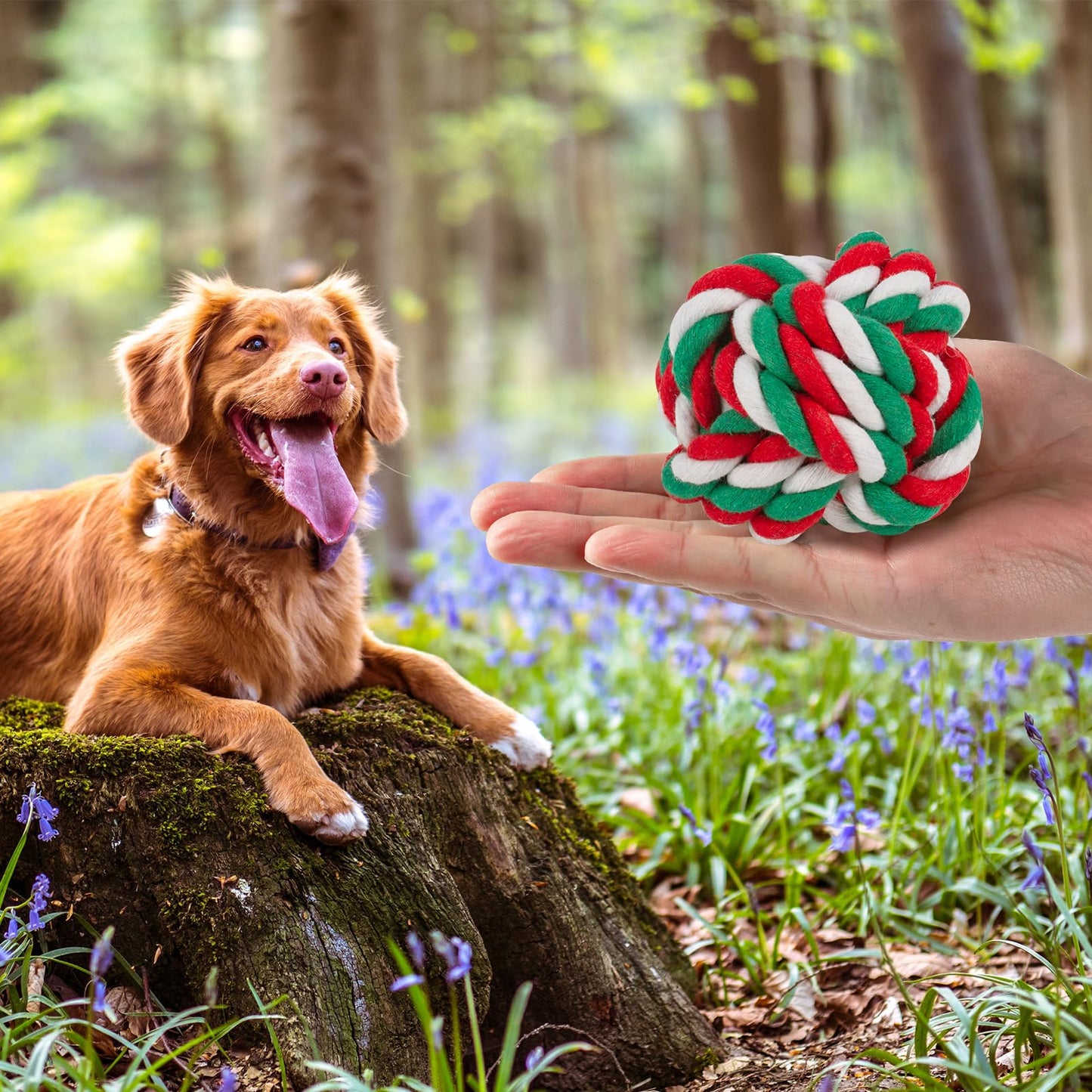 6 Pack Dog Chew Toys for Aggressive Chewers Large Breed, XL Cotton Dog Rope Balls, Indestructible Dog Toys with Tough Twisted for Large Medium Dogs, Dental Teething Ball for Puppy Small Dogs