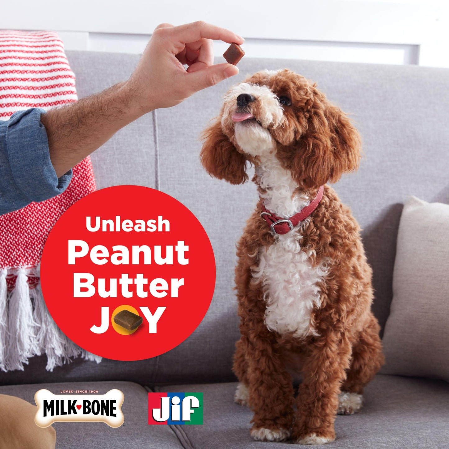 Milk-Bone Peanut Buttery Bites Soft Dog Treats with Jif Peanut Butter, 11.8 Ounce Bag