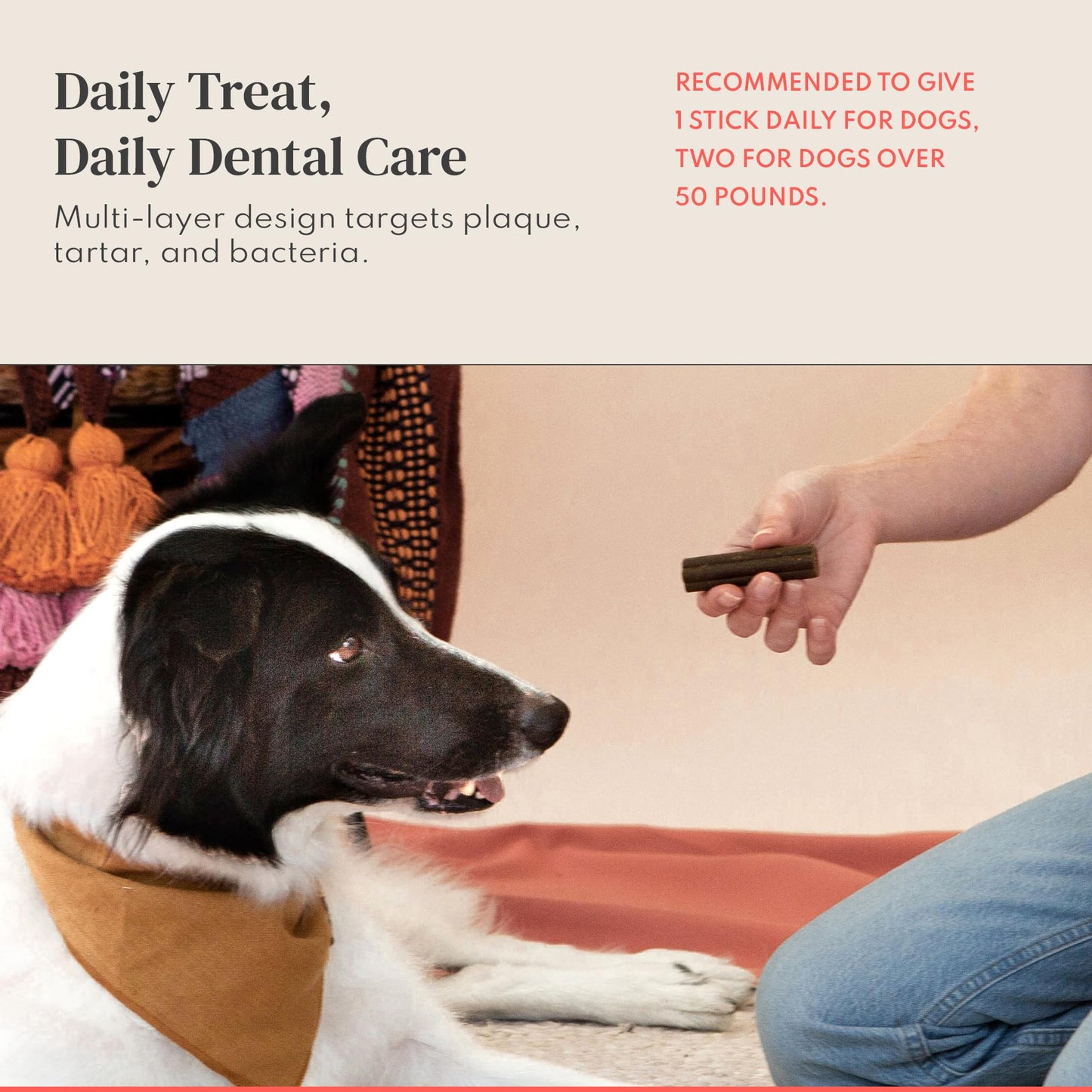 Dental Chews for Dogs – Scrapes Plaque, Freshens Breath, Fights Tartar – Dual-Layered Dog Dental Treats with Probiotics – Vet Formulated with 16 Active Ingredients – All Dog Sizes – Made in The USA