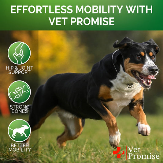 Vet Promise Glucosamine for Dogs - Hip and Joint Supplement for Dogs - Glucosamine Chondroitin - Joint Pain Relief Pills - MSM - Advanced Health Support Supplement - 120 Mobility Chews - Made in USA