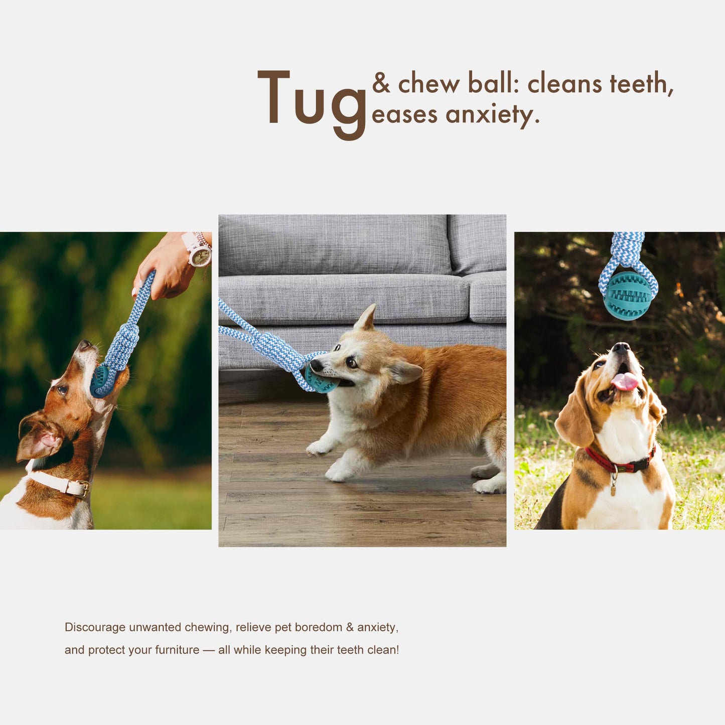 Mira's Pocket Indestructible Chew Toy for Aggressive Chewers - Durable Rubber Dog Teething Ball with Rope, Boredom Relief Puppy Toys (Blue, Small)