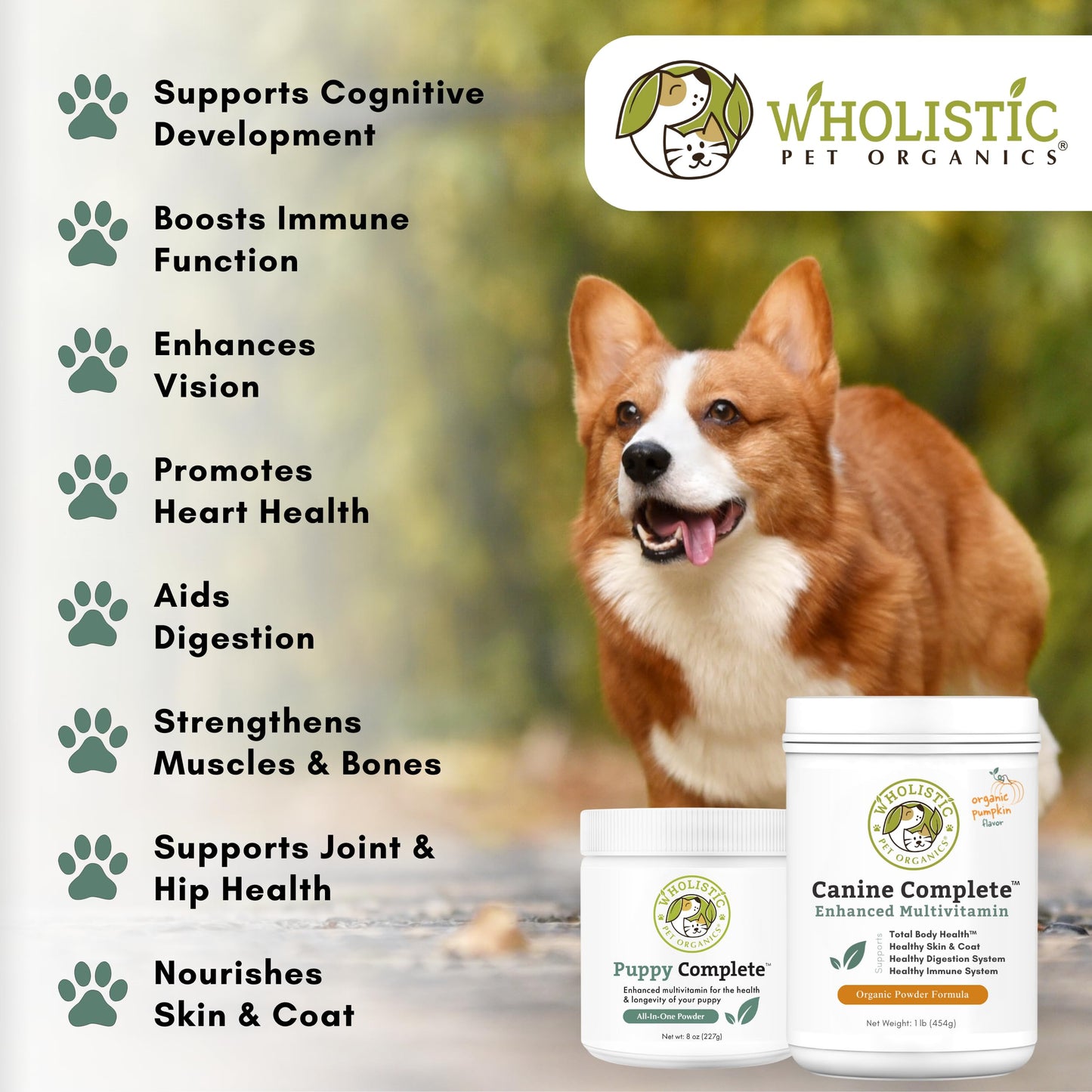 Wholistic Pet Organics Canine Complete - Dog Multivitamin Powder - 1 Lb - Daily Dog Vitamins and Supplements for Homemade Food - Immune System, Skin, Coat & Overall Health - Small and Large Breed